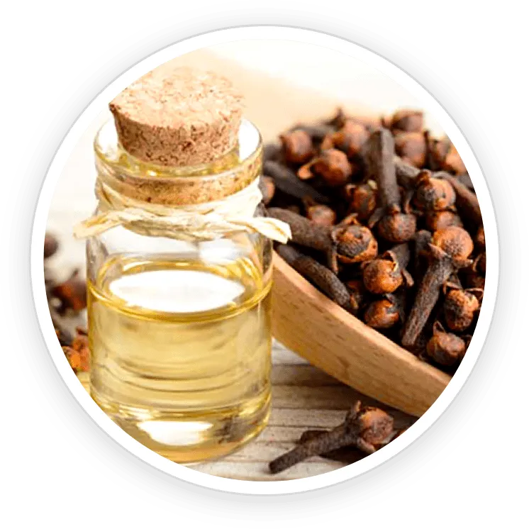 pronail complex ingredients