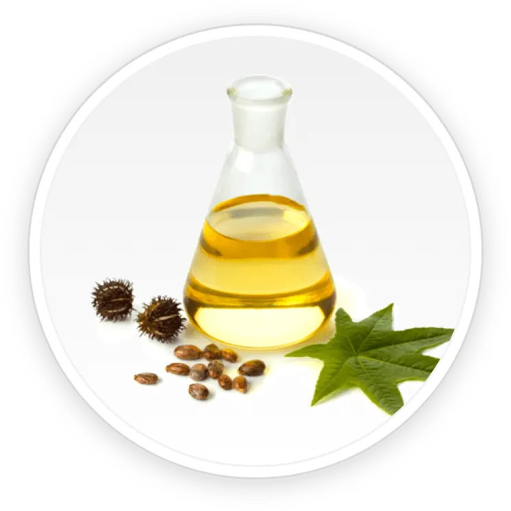 pronail complex ingredients