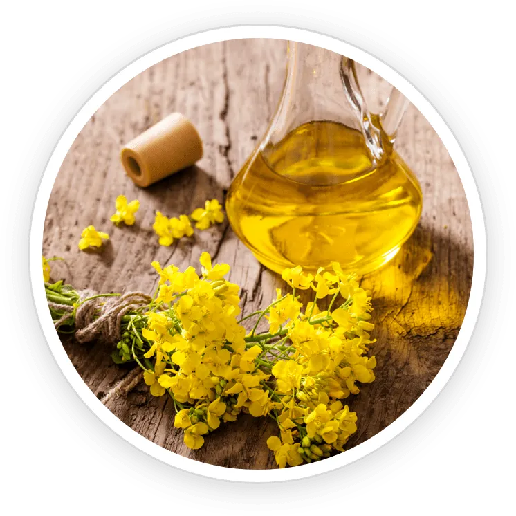 pronail complex ingredients