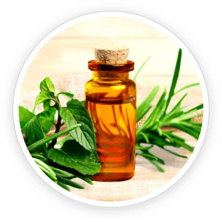 pronail complex ingredients